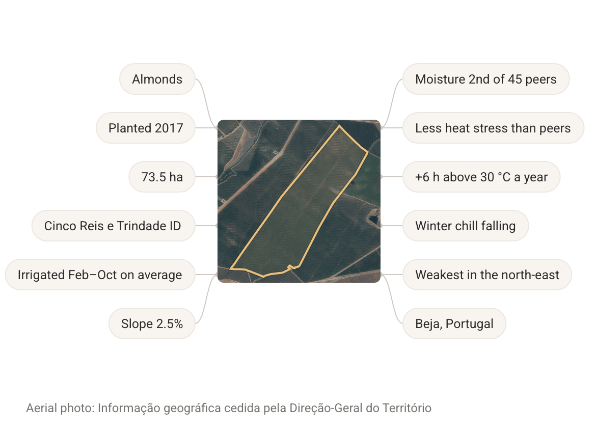 One field described by Demeter's data